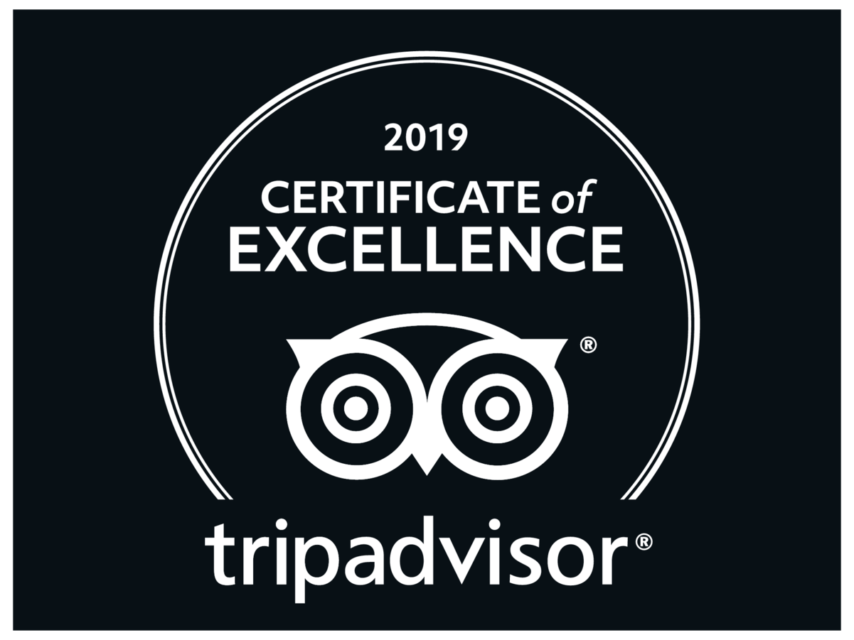 Trip Advisor Logo