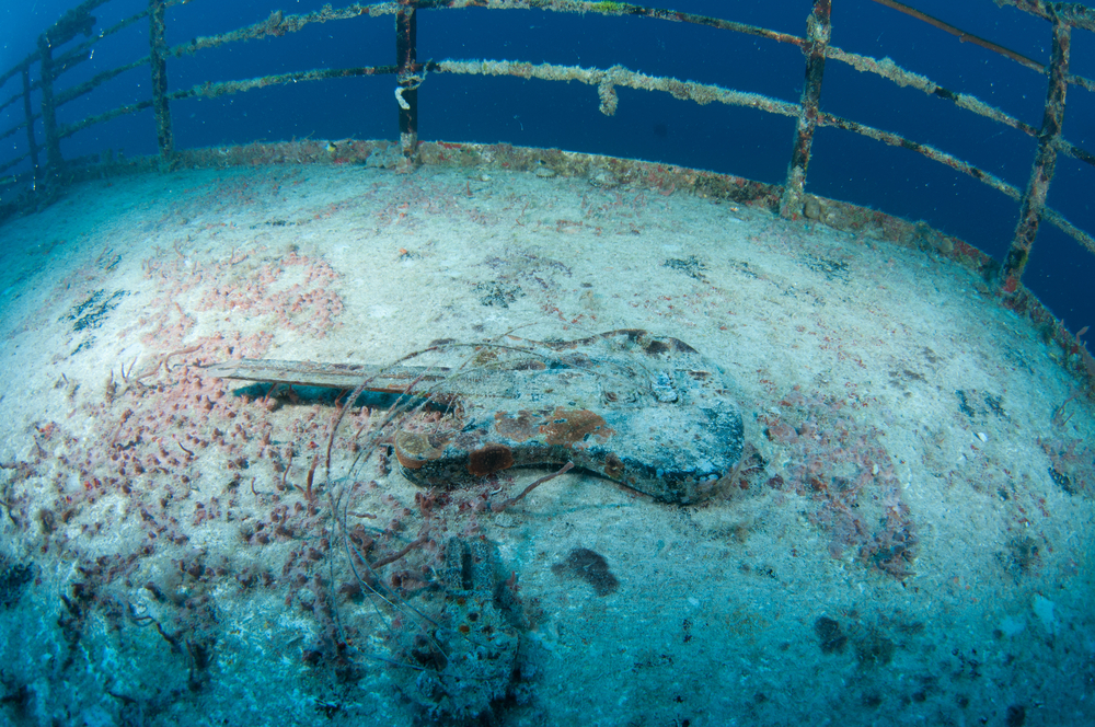 The Intentional Sinking of the Vandenberg (and how to dive the wreck)