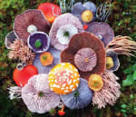 mushrooms nature medley jill bliss 1 - Wow...Indahnya Jamur Liar Ini Bikin Takjub Bagi Yang Melihatnya