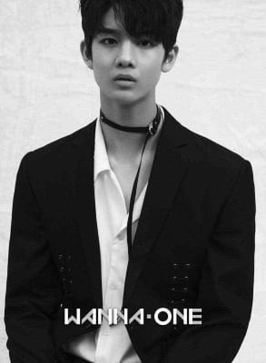 Bae Jinyoung - Fakta dan Profile Member Dari "Wanna One"