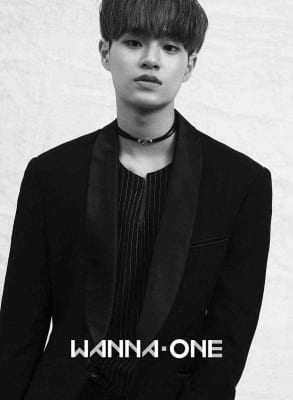 Lee Daehwi - Fakta dan Profile Member Dari "Wanna One"