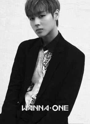 Park Jihoon - Fakta dan Profile Member Dari "Wanna One"