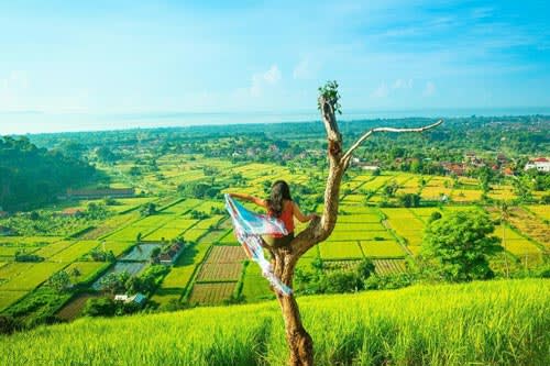 Bukit Belong - 25 Tempat Wisata Murah Di Bali