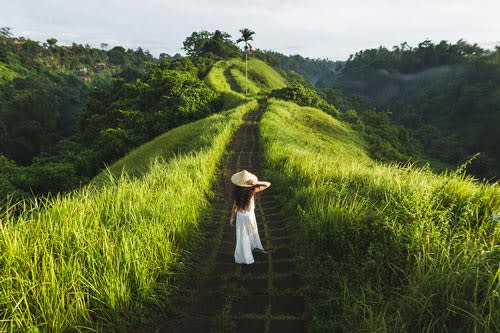 Campuhan Ridge Walk - 25 Tempat Wisata Murah Di Bali