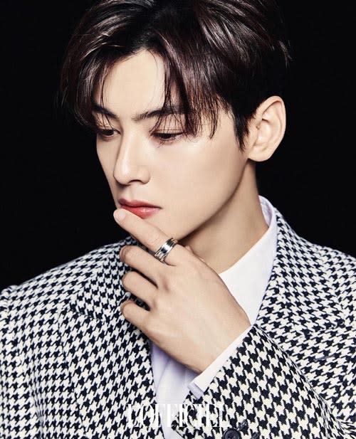 Profil Cha Eun Woo 5 - Profil Cha Eun Woo