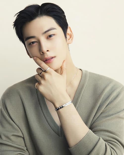 Profil Cha Eun Woo 2 - Profil Cha Eun Woo