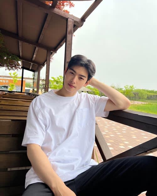 Profil Cha Eun Woo 3 - Profil Cha Eun Woo