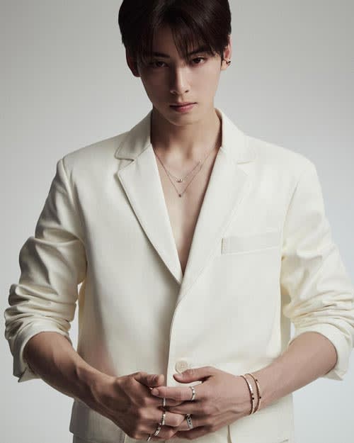 Profil Cha Eun Woo 4 - Profil Cha Eun Woo