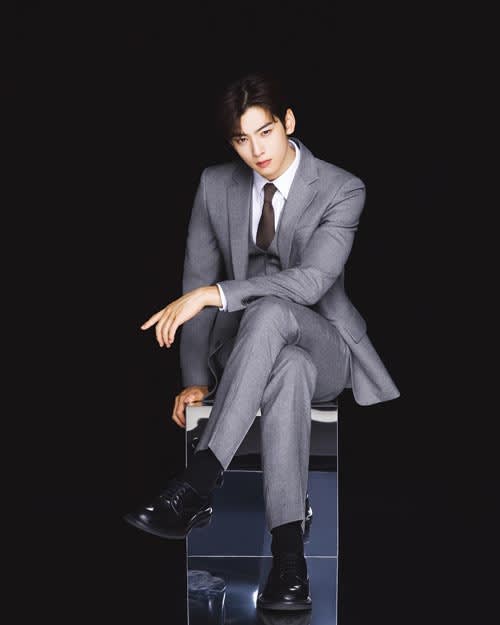Profil Cha Eun Woo 6 - Profil Cha Eun Woo