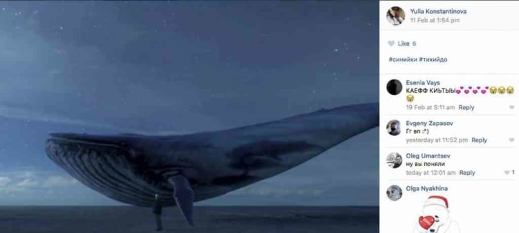 Blue Whale Challenge1 1024x460 - Bermain dengan nyawa, kejamnya "Blue Whale Challenge"