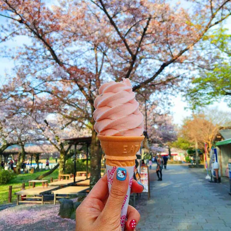 ice cream sakura - Wow!! Indahnya sakura pecah dimulut?