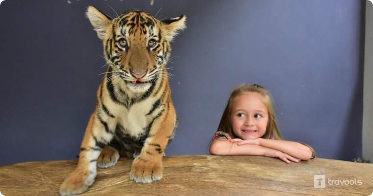 Tiger park pattaya with girl