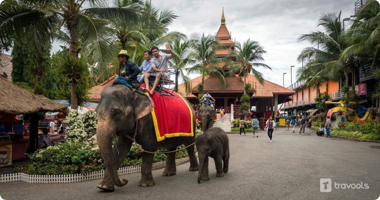 nong nooch gardern