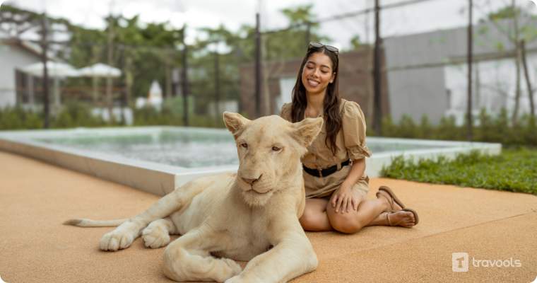 lion land phuket 1