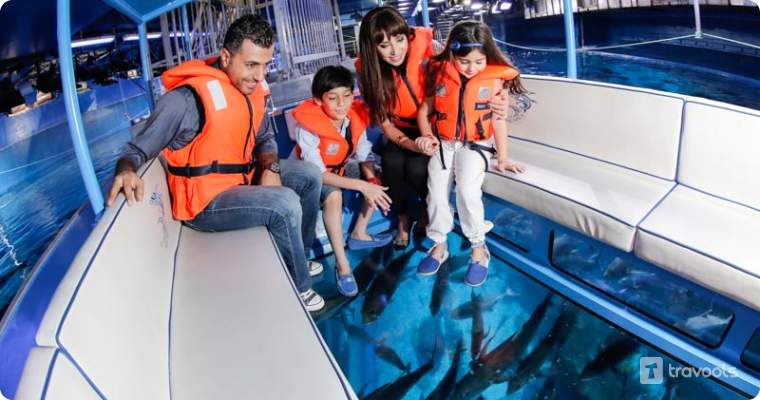 dubai activity