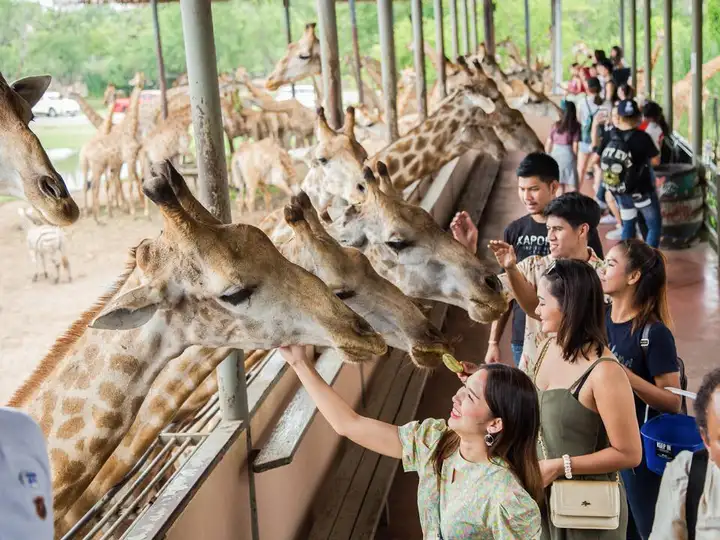 safari world Bangkok 