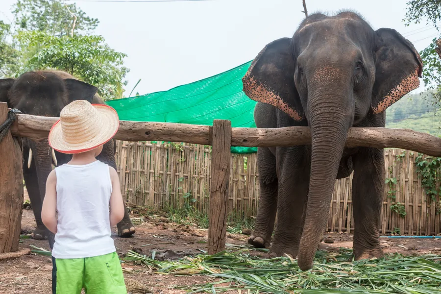 chiang mai 