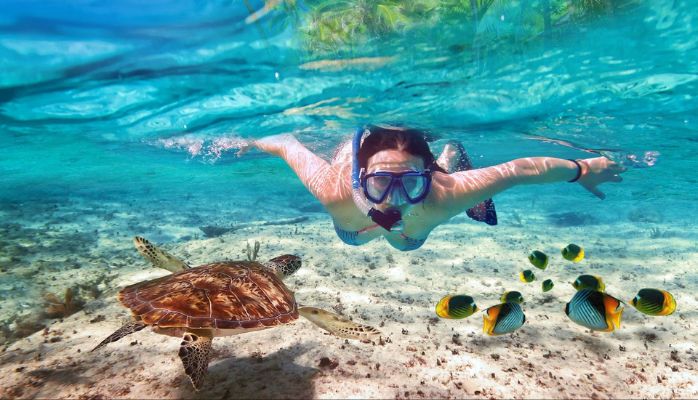 Angthong National Park Snorkeling Day Tour by Speedboat from Koh Samui