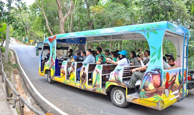 chiang mai zoo aquarium