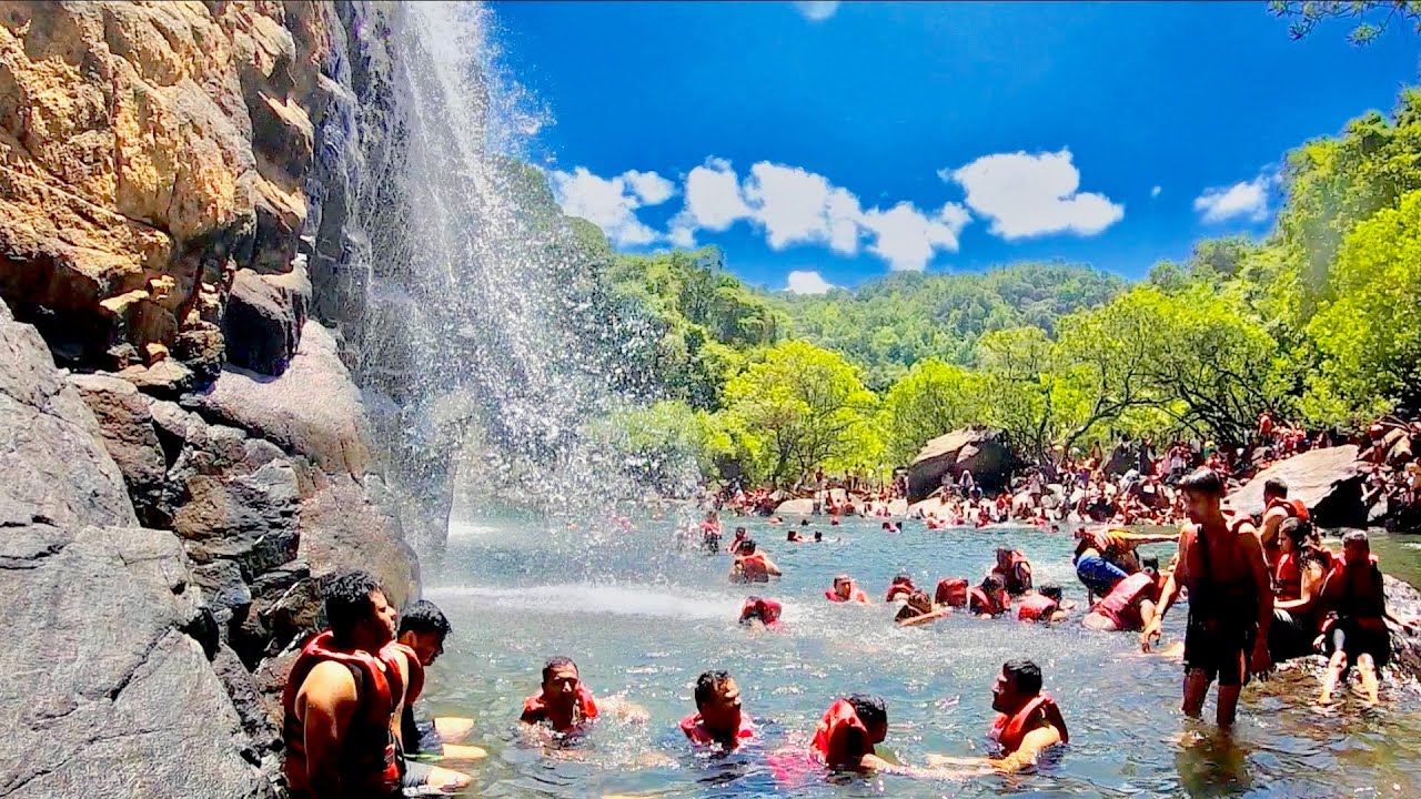 dudhsagar falls and spice plantation tour