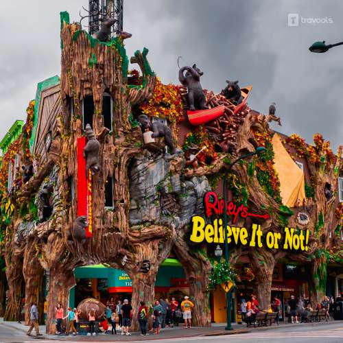 Ripley's Believe It or Not Tickets offer