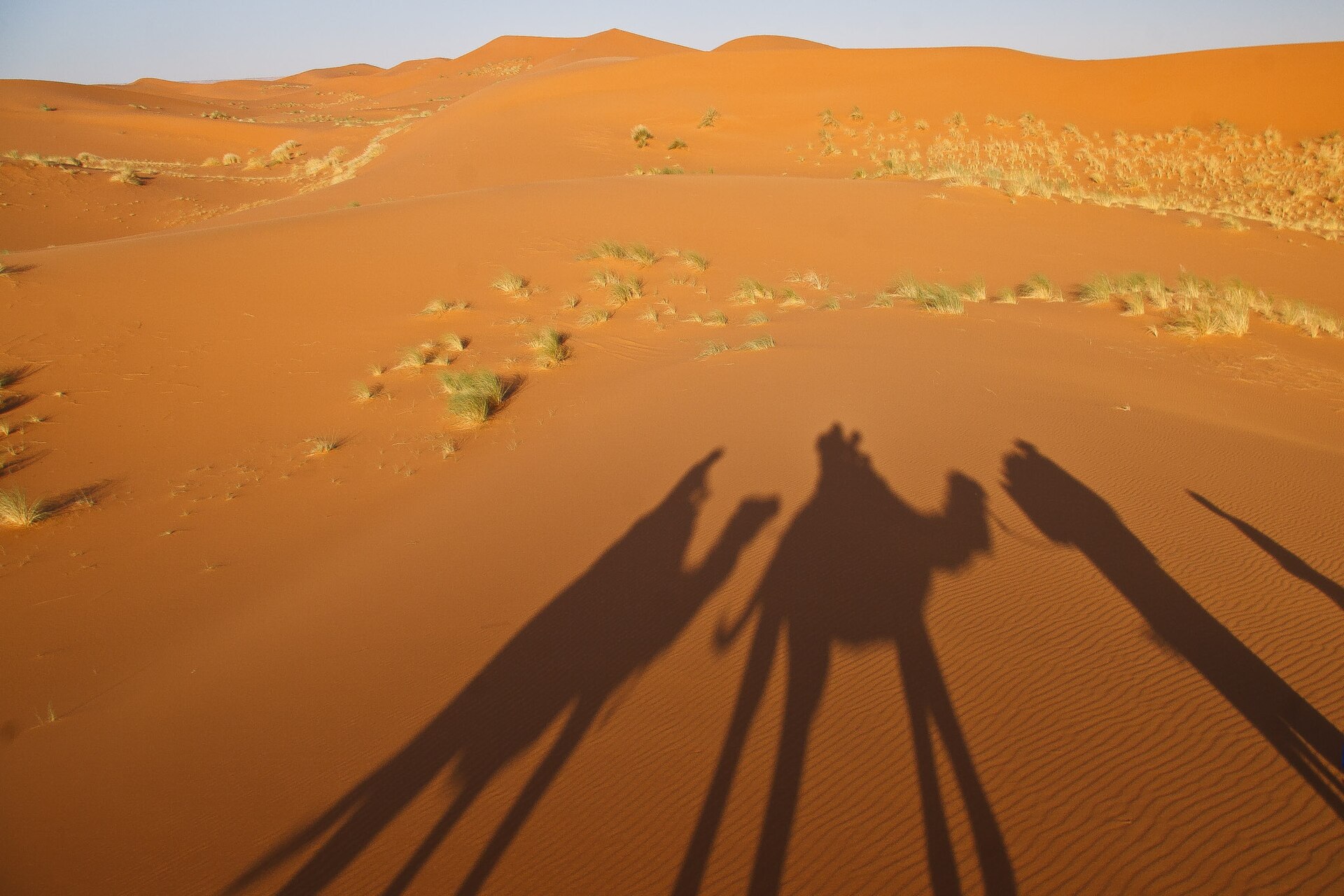 Passeio de camelo no deserto de Merzouga