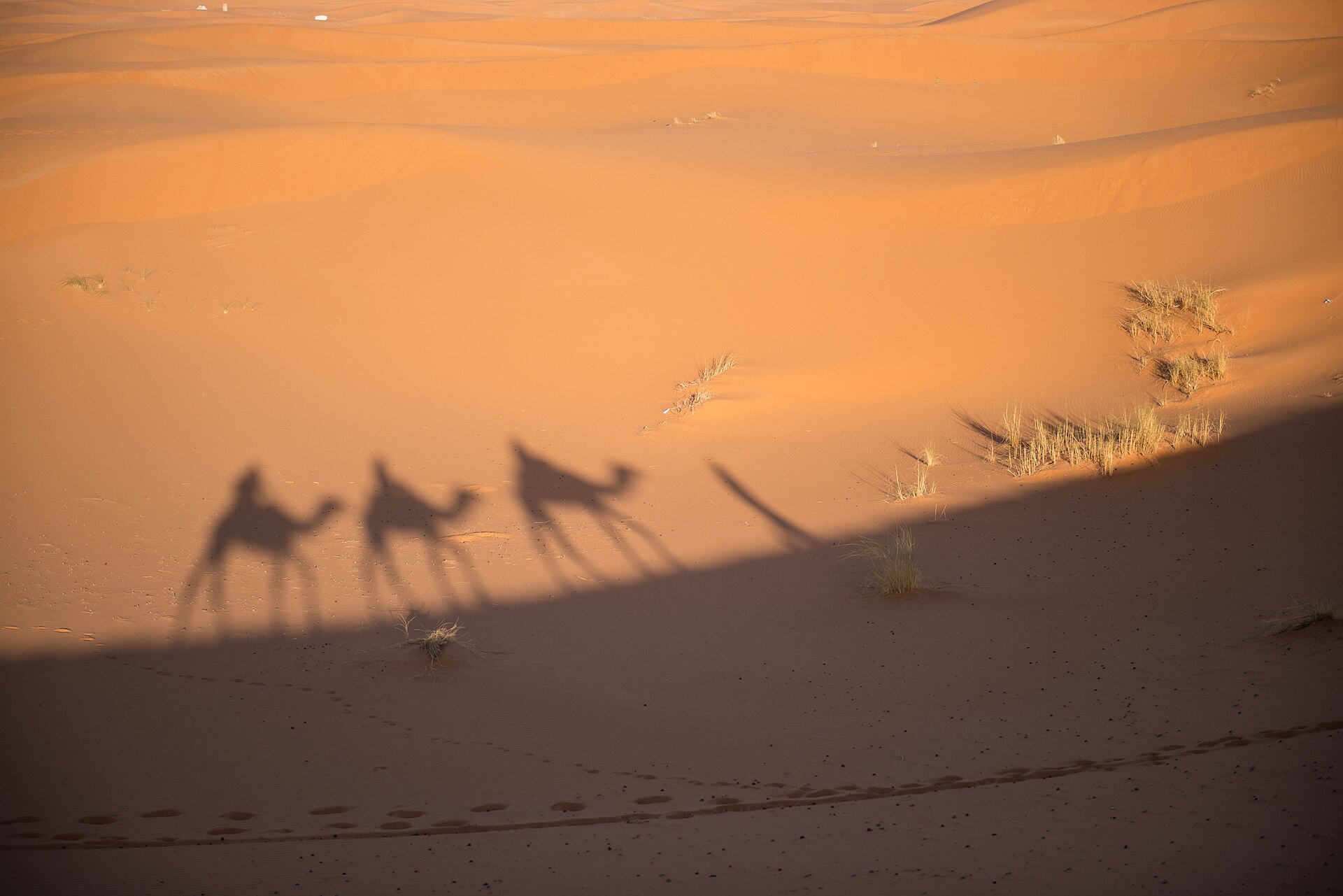 Camel trek in the Erg Chebbi dunes on a 7-day Morocco tour