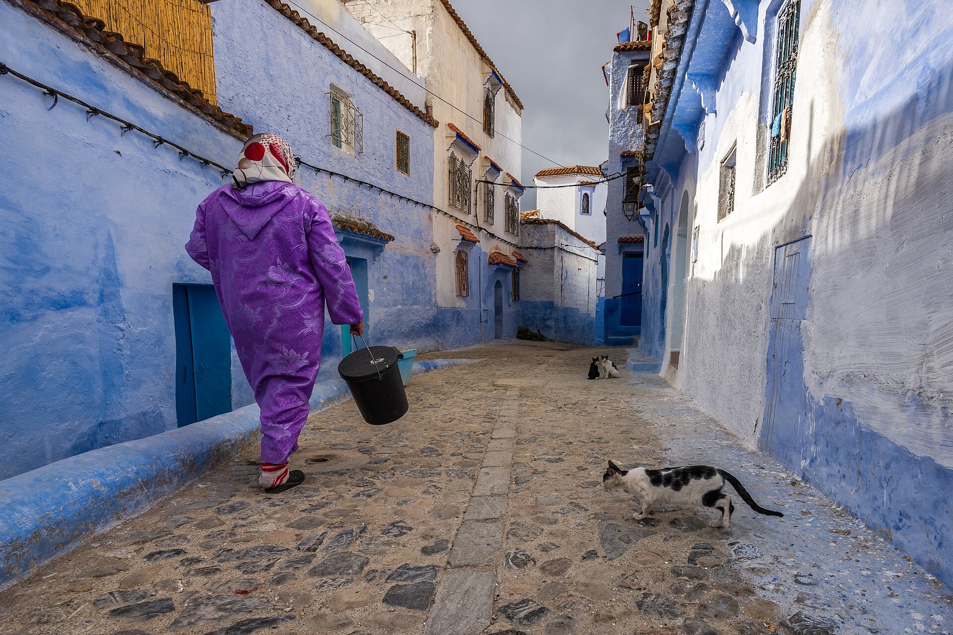 Travellers exploring the blue streets of Chefchaouen