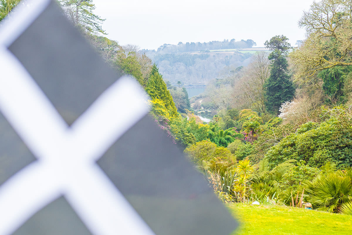 cornish flag in trebah garden