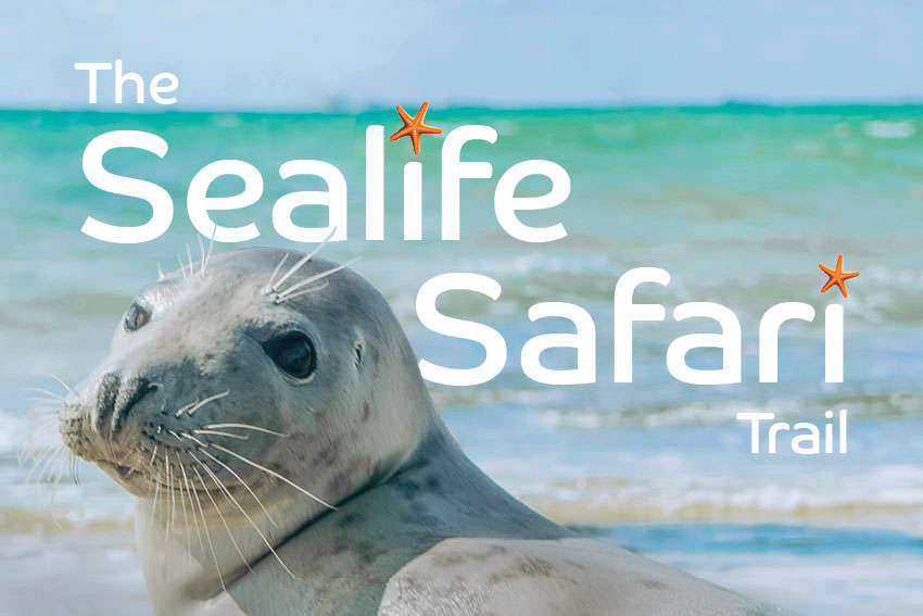 The Sealife Safari Trail