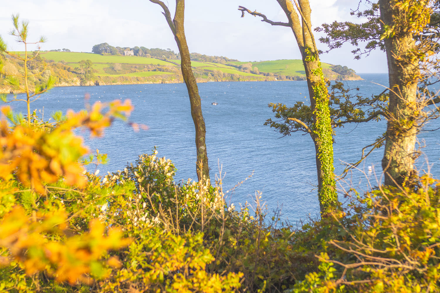 The sea through autumn trees at Trebah Garden