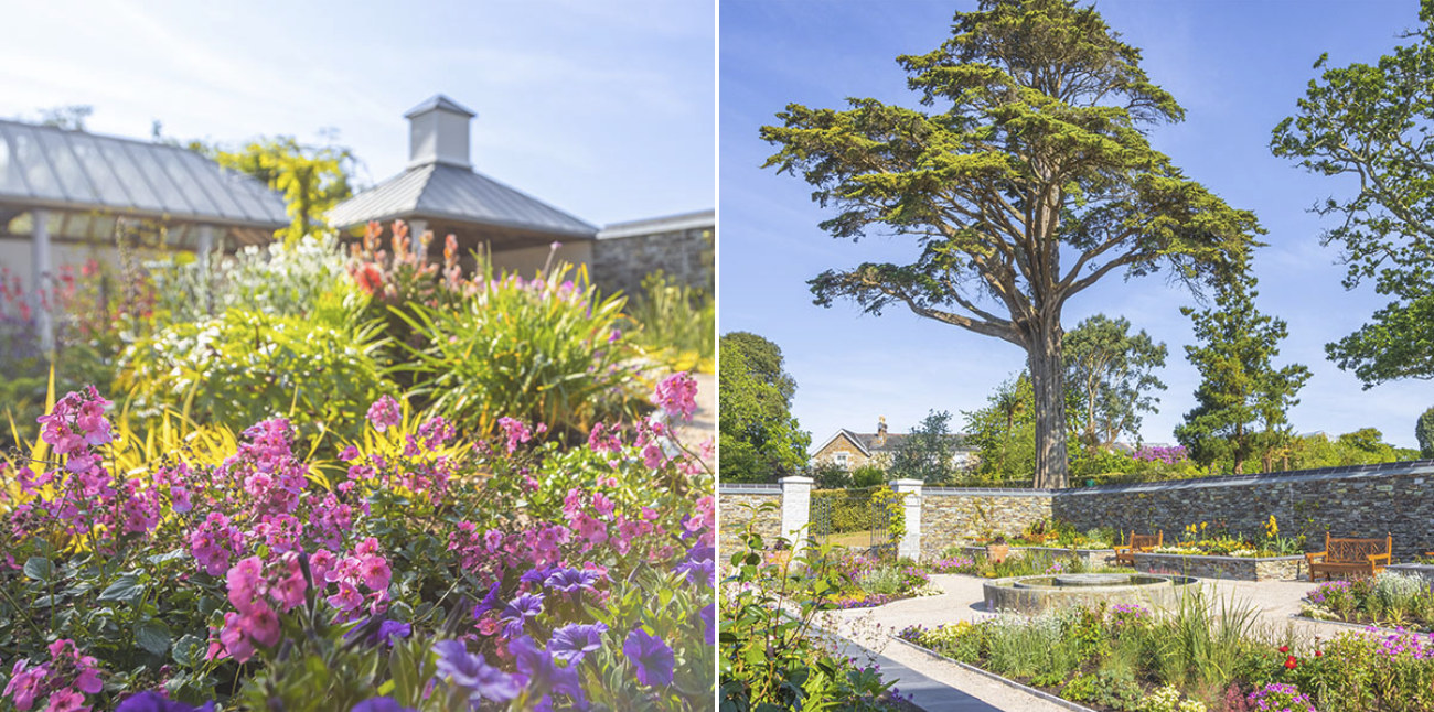 trebah court garden