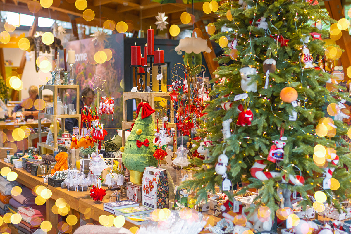 trebah gift shop christmas display