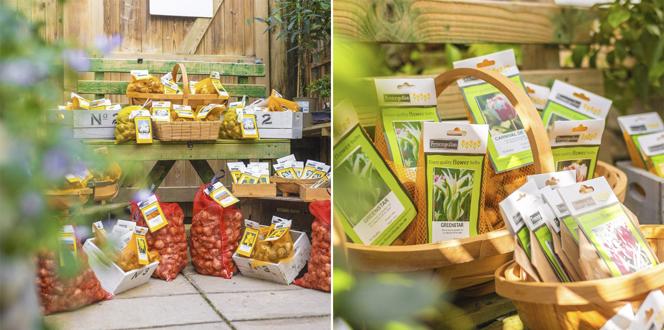 photo of plant bulbs on display