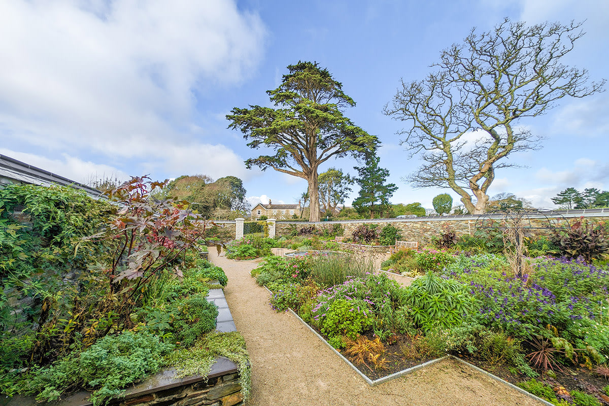 the court garden at trebah