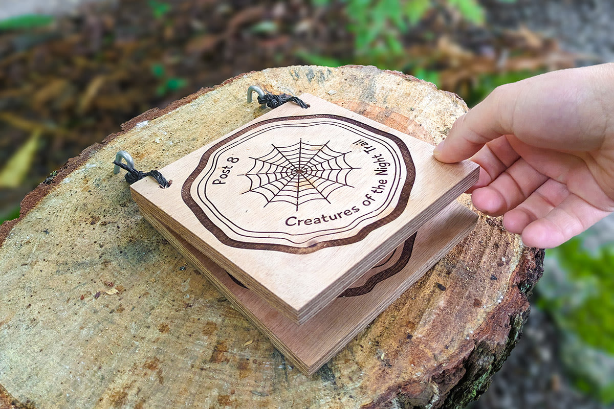 children's trail on a tree stump