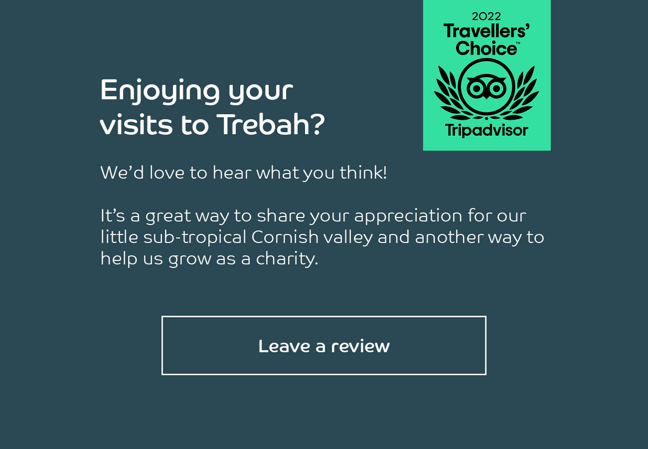 Tripadvisor logo