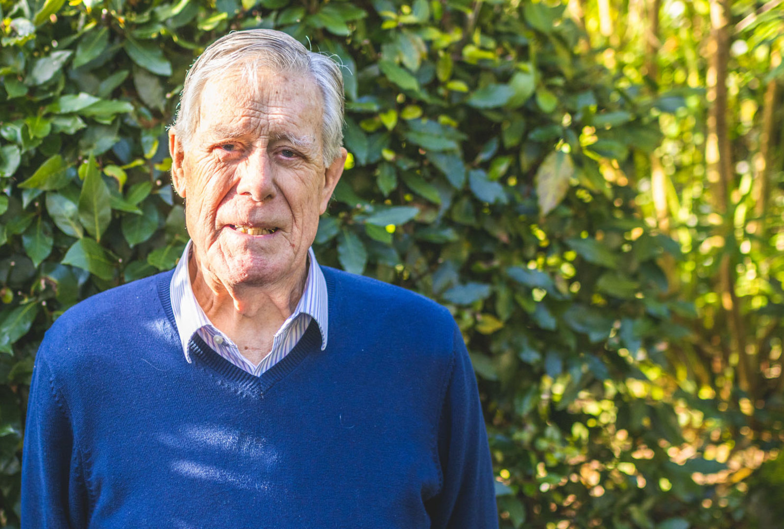Portrait of Anthony Vyvyan, Trustee at Trebah Garden