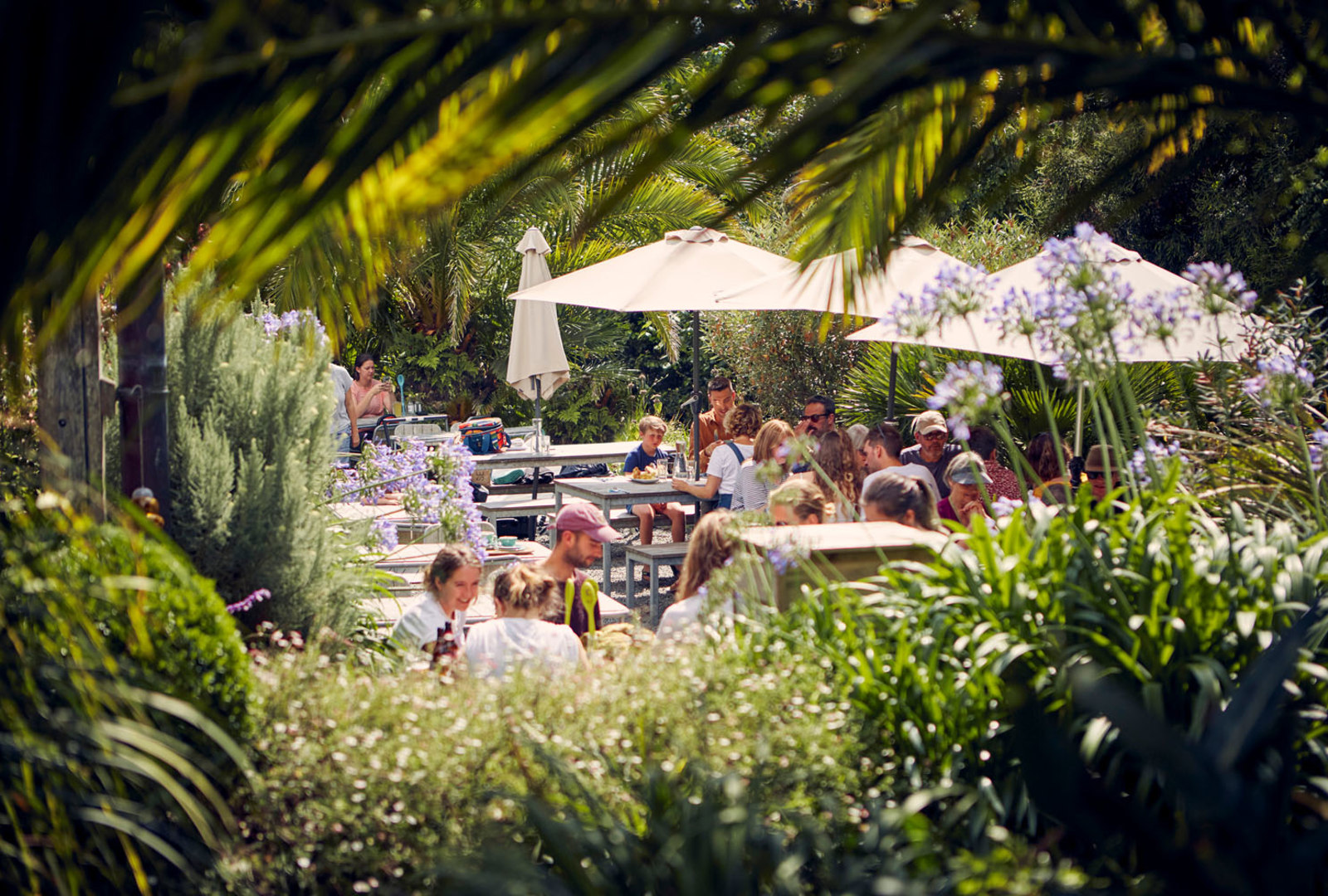 Outdoor seating at trebah