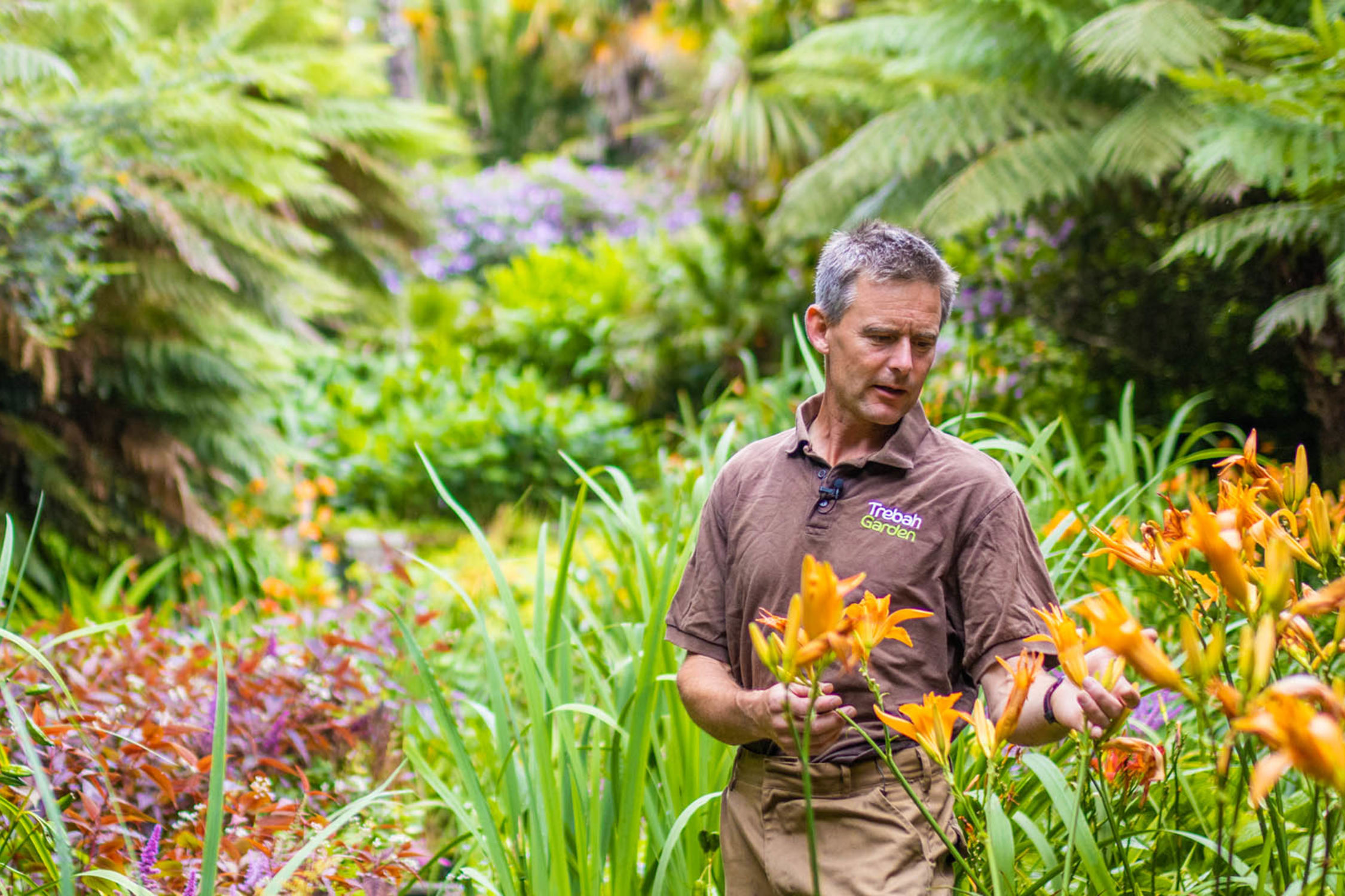 Darren's Diary | Trebah Garden Cornwall