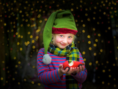 A Truly Trebah Christmas