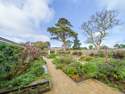 Autumn & Winter Planting in the Court Garden