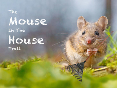 The Mouse In The House Trail