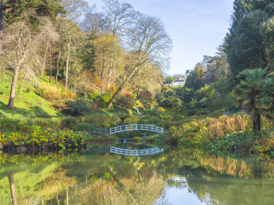 Trebah Now Open Every Day!