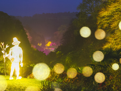 Trebah Garden of Light