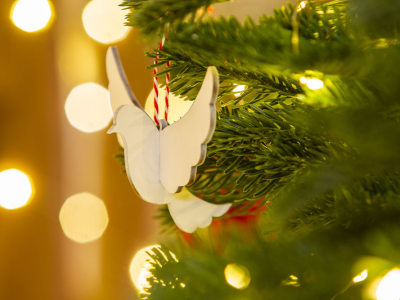A Truly Trebah Christmas