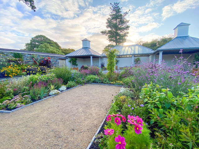 Trebah Court Garden