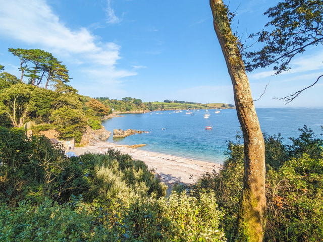 Trebah Beach