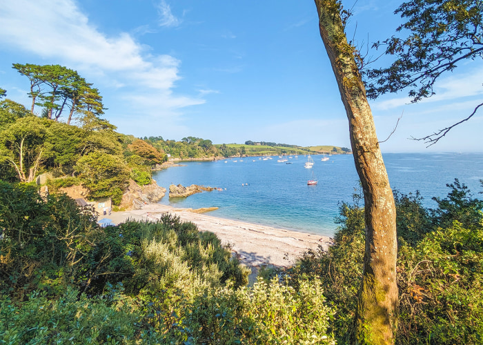 Trebah Beach