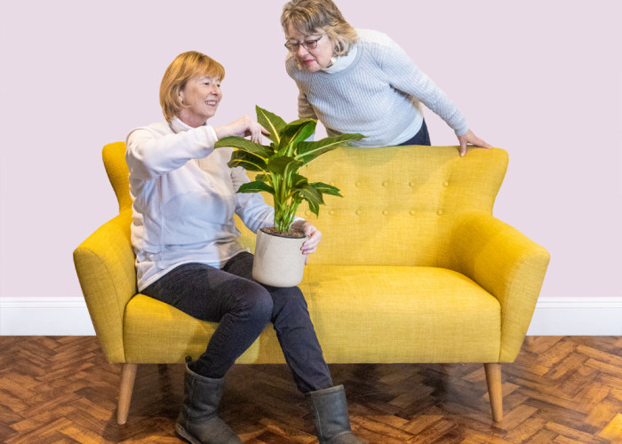 Two women looking at a houseplant by a sofa